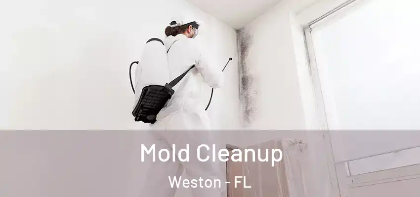  Mold Cleanup Weston - FL