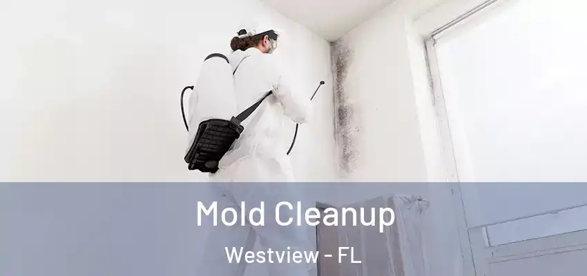 Mold Cleanup Westview - FL