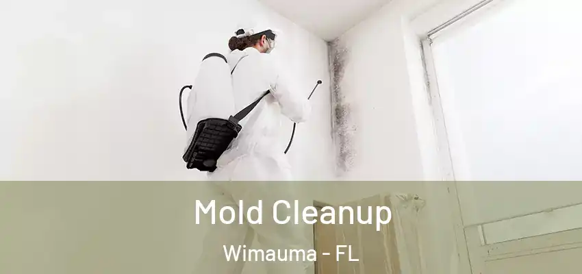 Mold Cleanup Wimauma - FL