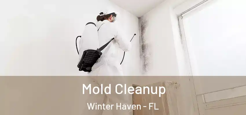 Mold Cleanup Winter Haven - FL