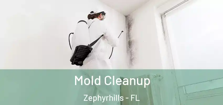 Mold Cleanup Zephyrhills - FL
