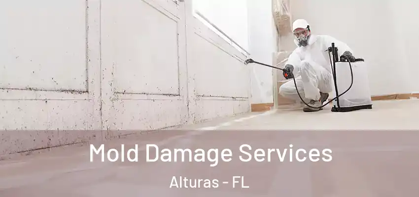  Mold Damage Services Alturas - FL