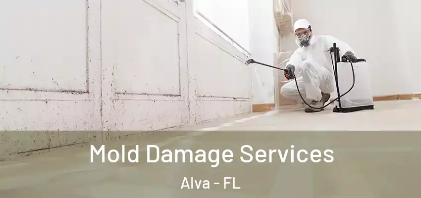  Mold Damage Services Alva - FL