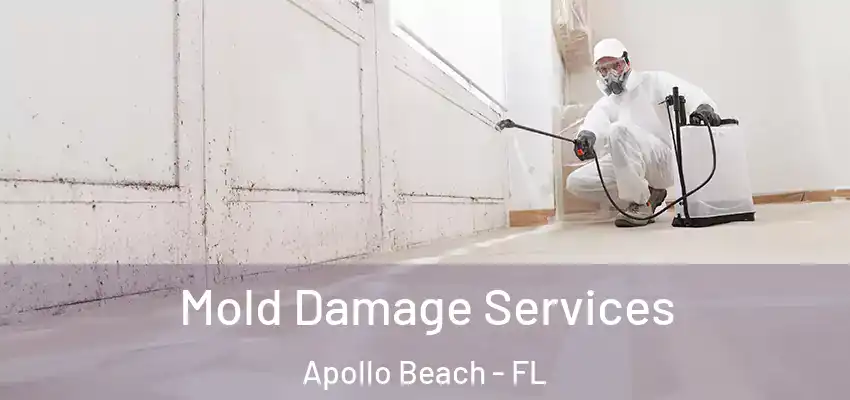  Mold Damage Services Apollo Beach - FL