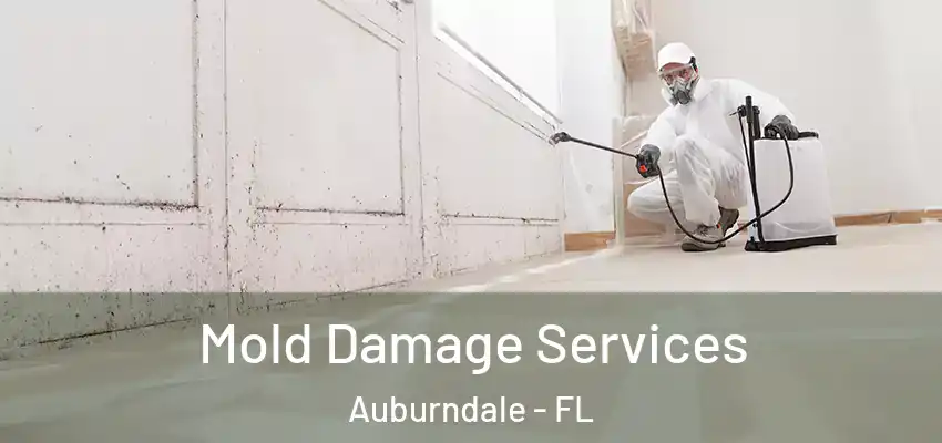 Mold Damage Services Auburndale - FL