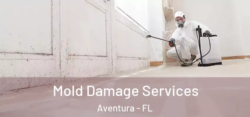  Mold Damage Services Aventura - FL