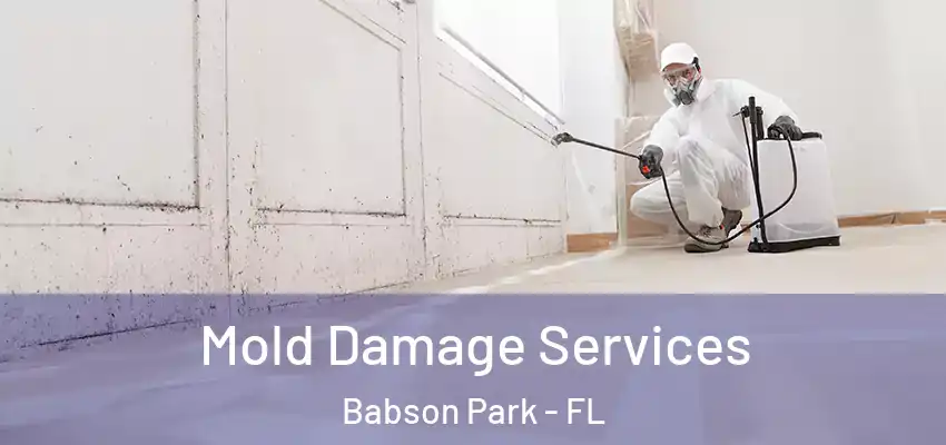  Mold Damage Services Babson Park - FL