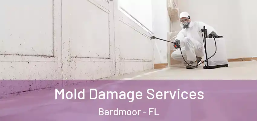  Mold Damage Services Bardmoor - FL