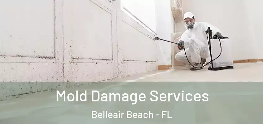  Mold Damage Services Belleair Beach - FL