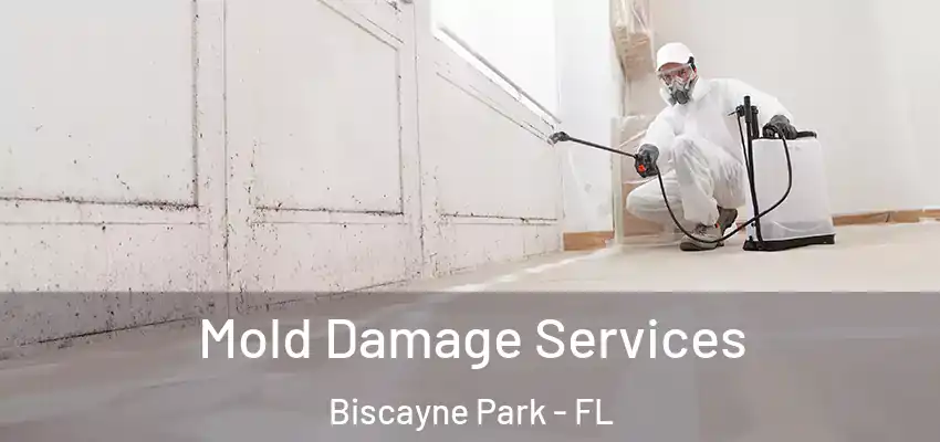  Mold Damage Services Biscayne Park - FL