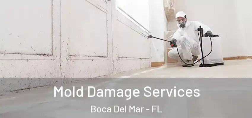 Mold Damage Services Boca Del Mar - FL