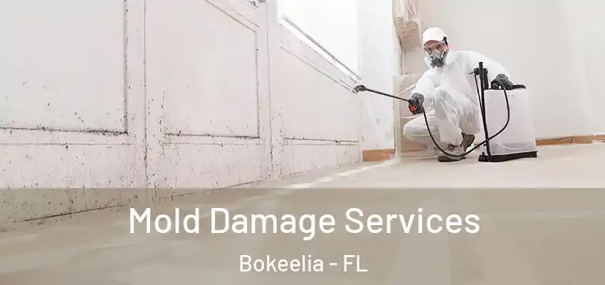 Mold Damage Services Bokeelia - FL