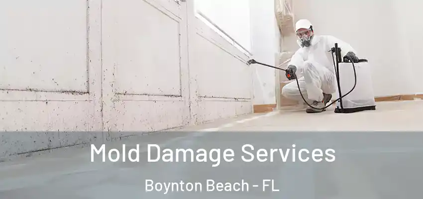  Mold Damage Services Boynton Beach - FL