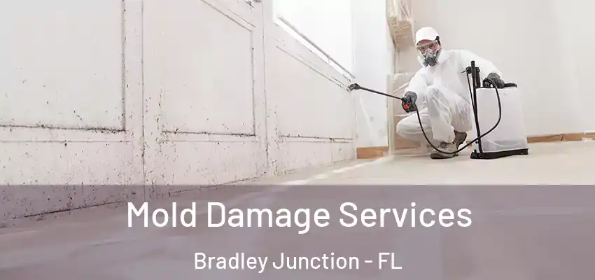  Mold Damage Services Bradley Junction - FL