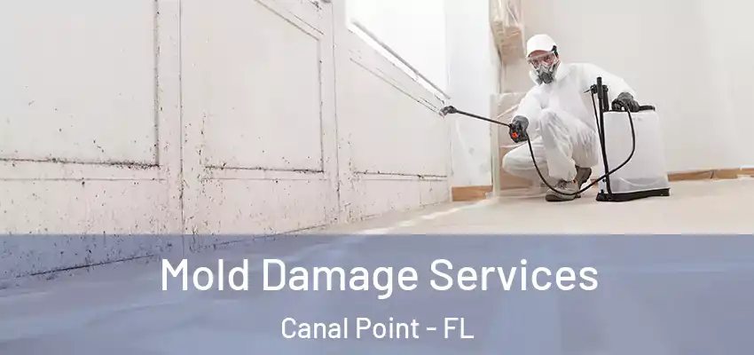 Mold Damage Services Canal Point - FL