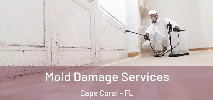  Mold Damage Services Cape Coral - FL