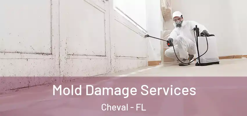  Mold Damage Services Cheval - FL