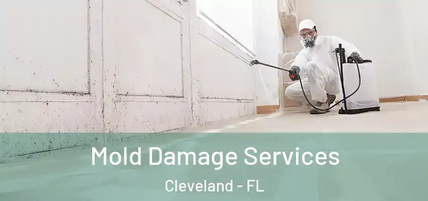  Mold Damage Services Cleveland - FL