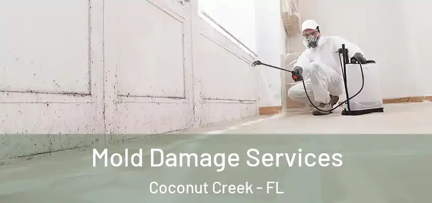  Mold Damage Services Coconut Creek - FL