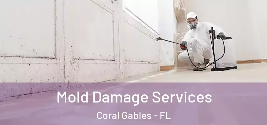  Mold Damage Services Coral Gables - FL