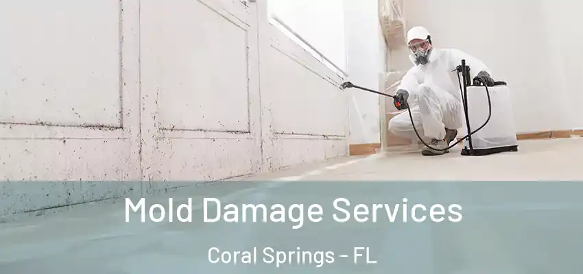  Mold Damage Services Coral Springs - FL