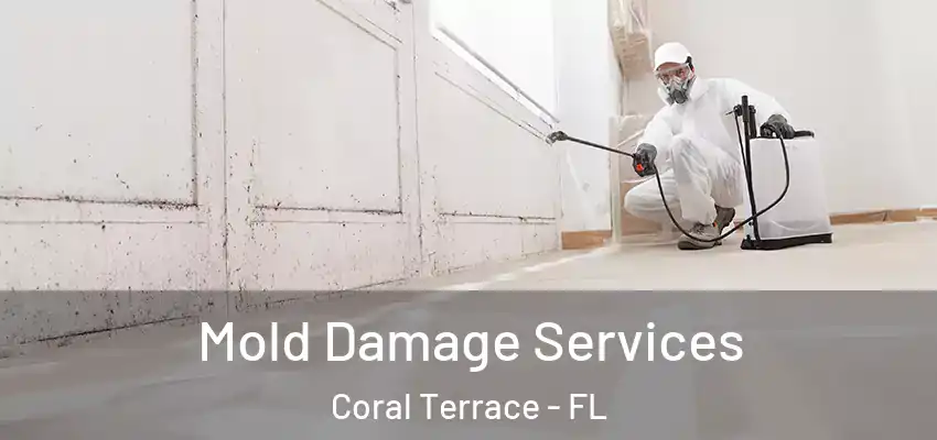 Mold Damage Services Coral Terrace - FL