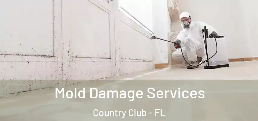  Mold Damage Services Country Club - FL