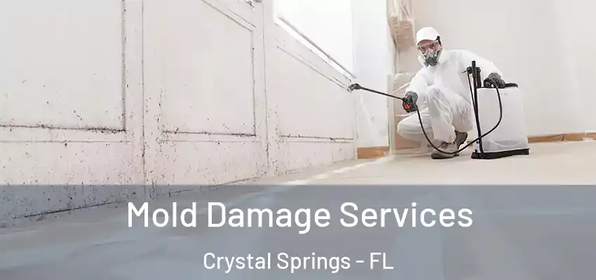  Mold Damage Services Crystal Springs - FL