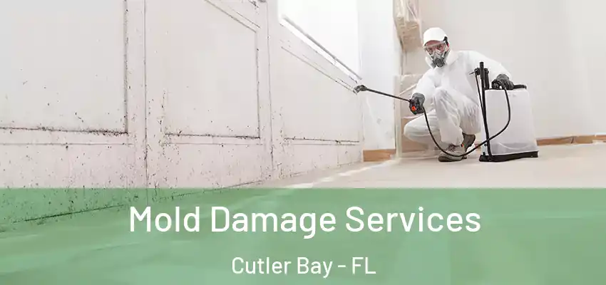 Mold Damage Services Cutler Bay - FL