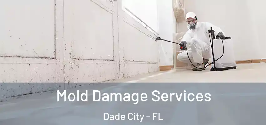  Mold Damage Services Dade City - FL