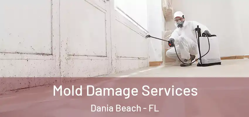  Mold Damage Services Dania Beach - FL