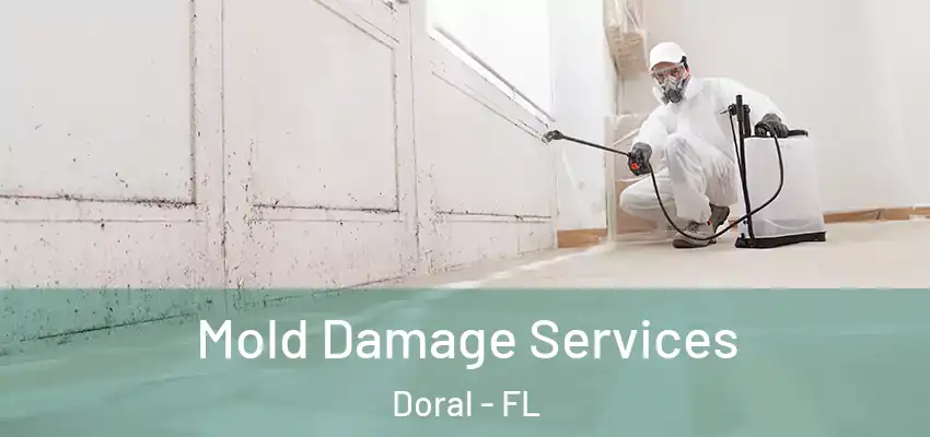  Mold Damage Services Doral - FL