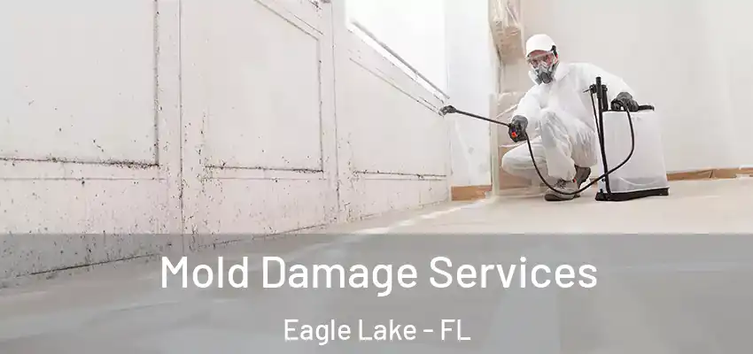 Mold Damage Services Eagle Lake - FL