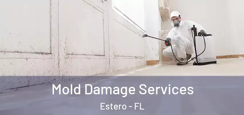 Mold Damage Services Estero - FL