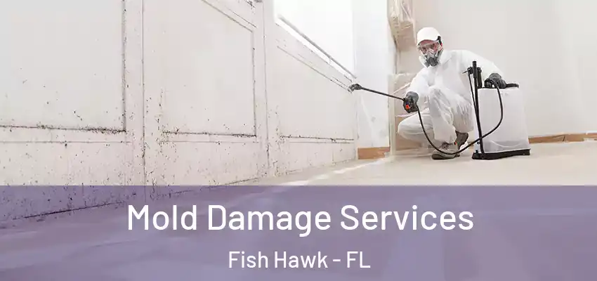 Mold Damage Services Fish Hawk - FL