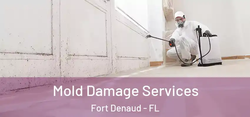  Mold Damage Services Fort Denaud - FL