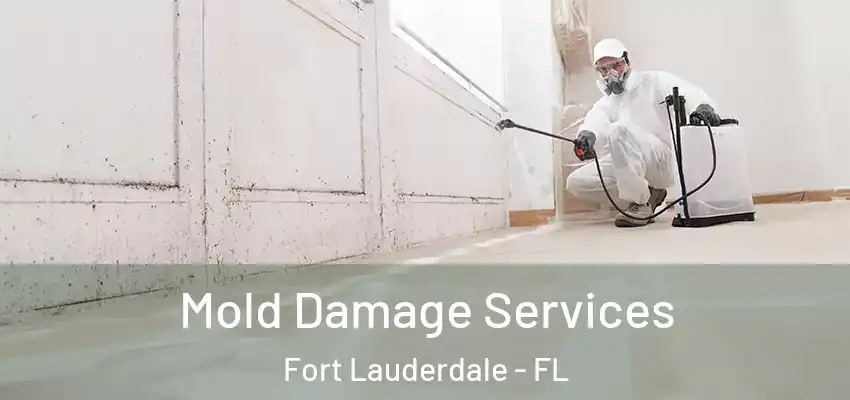  Mold Damage Services Fort Lauderdale - FL