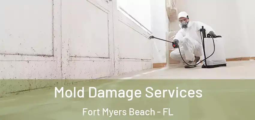 Mold Damage Services Fort Myers Beach - FL