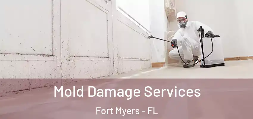  Mold Damage Services Fort Myers - FL