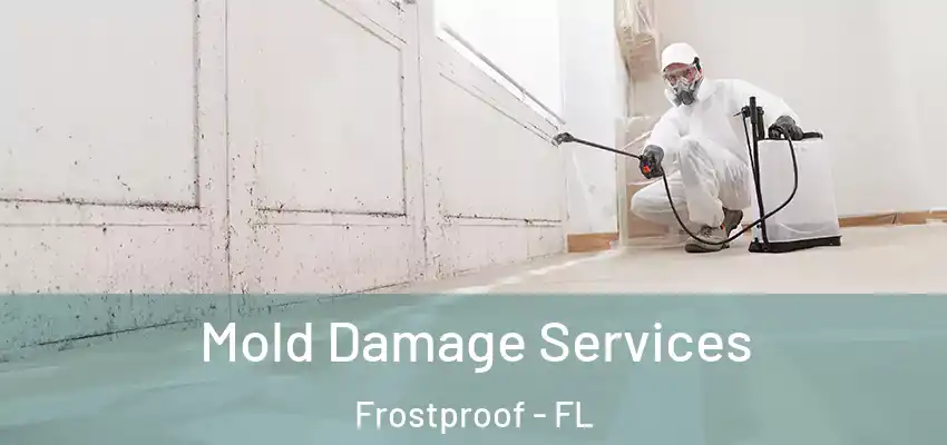 Mold Damage Services Frostproof - FL