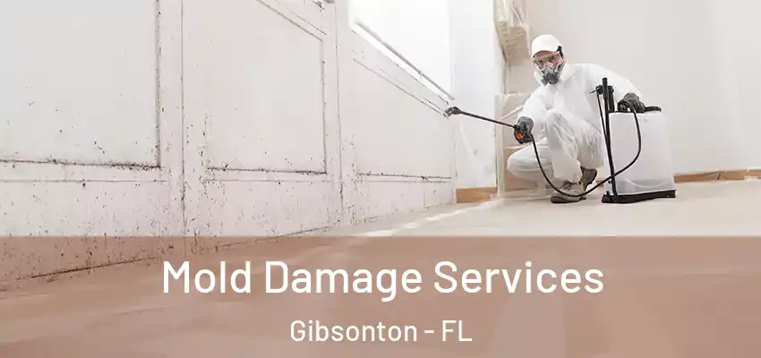  Mold Damage Services Gibsonton - FL