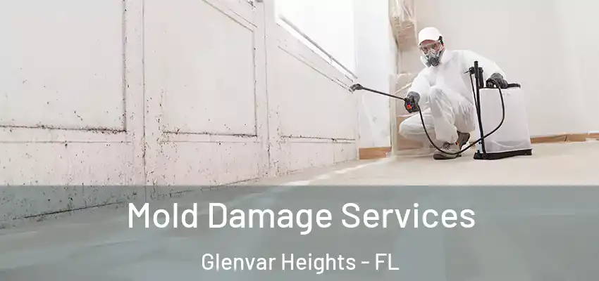 Mold Damage Services Glenvar Heights - FL