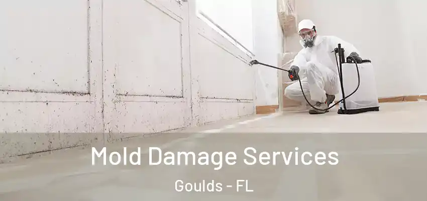 Mold Damage Services Goulds - FL