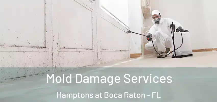 Mold Damage Services Hamptons at Boca Raton - FL