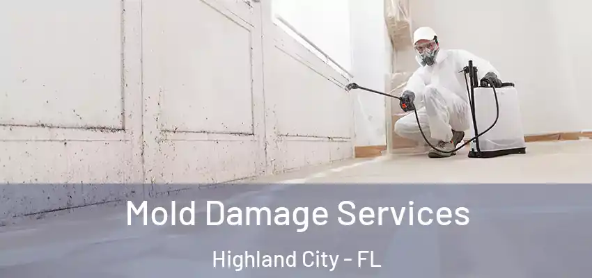 Mold Damage Services Highland City - FL