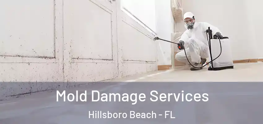 Mold Damage Services Hillsboro Beach - FL