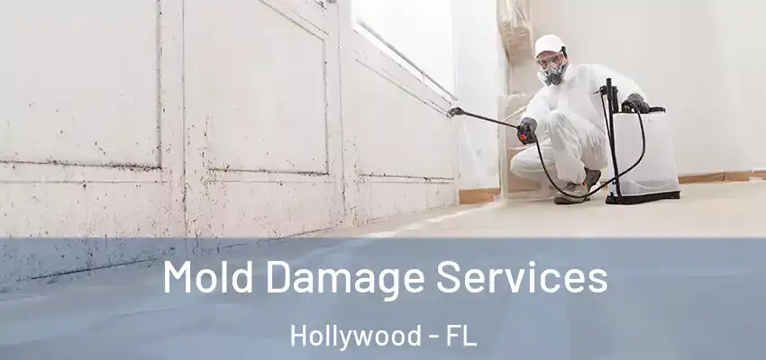Mold Damage Services Hollywood - FL