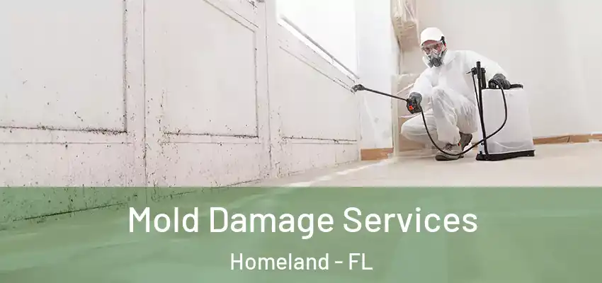  Mold Damage Services Homeland - FL