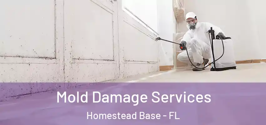 Mold Damage Services Homestead Base - FL