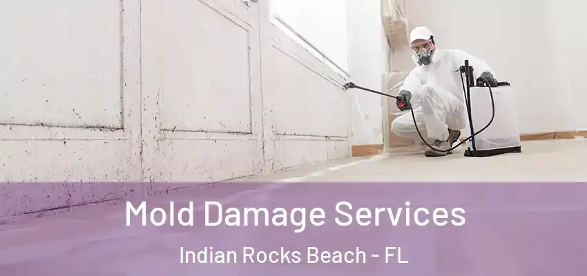 Mold Damage Services Indian Rocks Beach - FL
